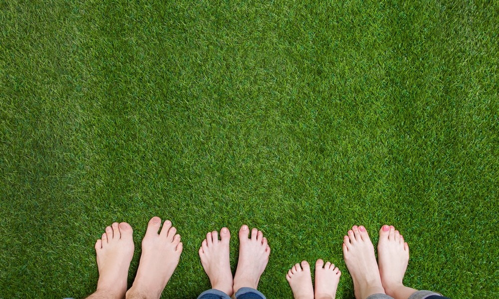 graszoden laten leggen